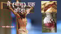 मैं (यीशु) एक कीड़ा हूँ. भजन संहिता 22:6